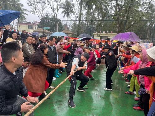 屯昌新兴镇爆料案件最新,案情揭秘，真相渐浮水面